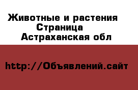  Животные и растения - Страница 4 . Астраханская обл.